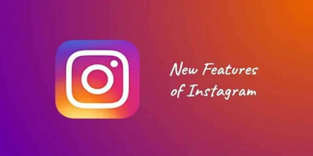 Best Instagram Features for a Thriving Online Presence
