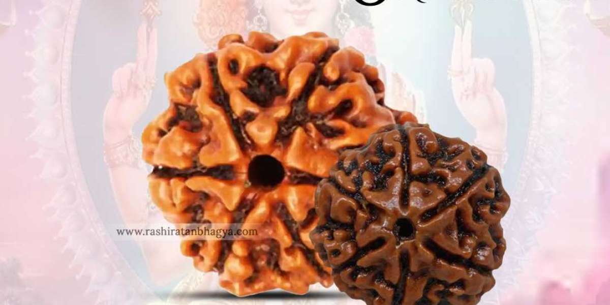 Shravan mah sale get 10% discount on entire 6 Mukhi Rudraksha Beads