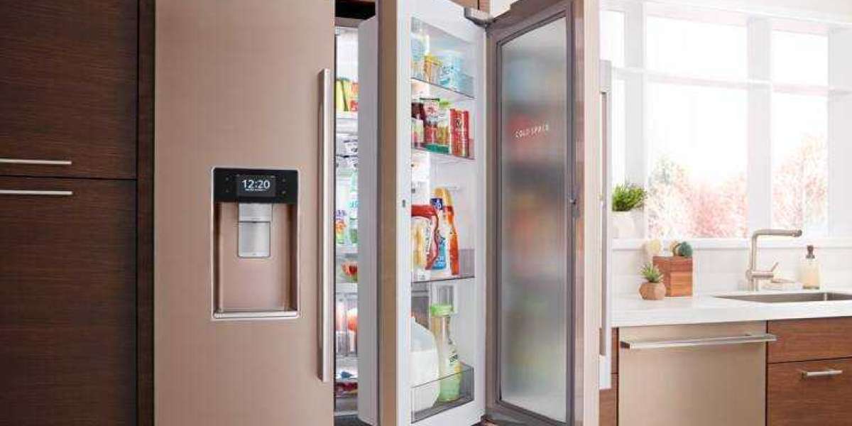 Online Refrigerators: A Comprehensive Guide to Choosing Major Appliances