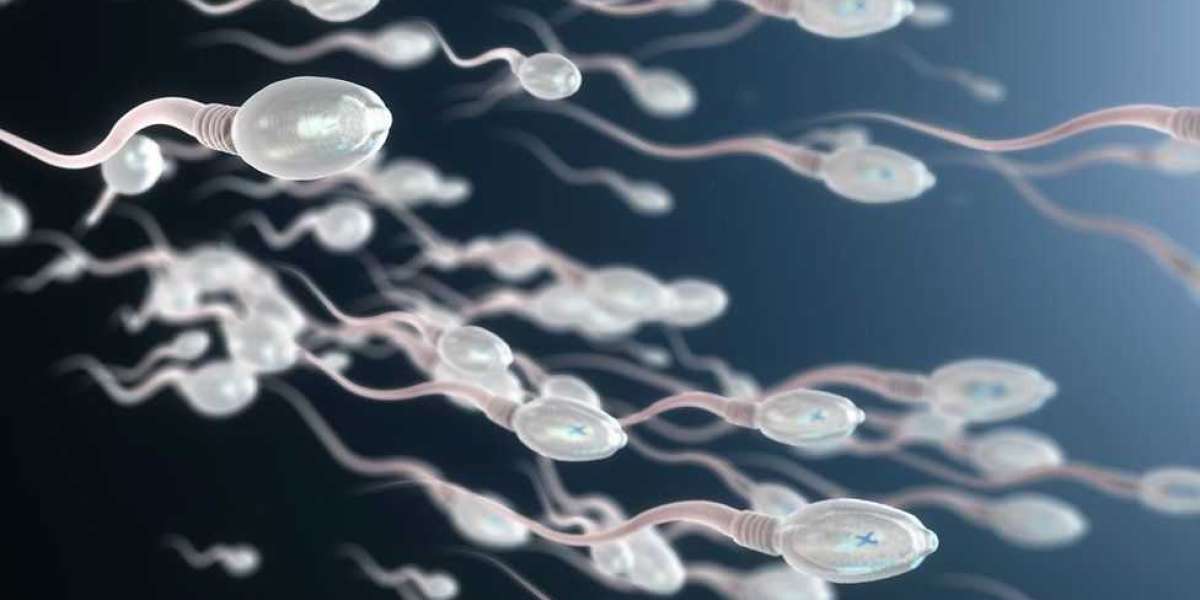 Effective Ways to Boost Sperm Count Naturally