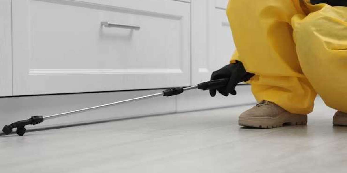 Effective Cockroach Control Services in Bhubaneswar