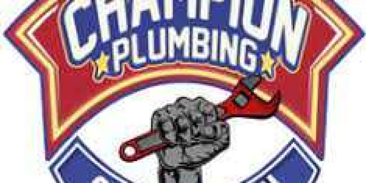 How experienced is the team at Champion Plumbing Cape Coral