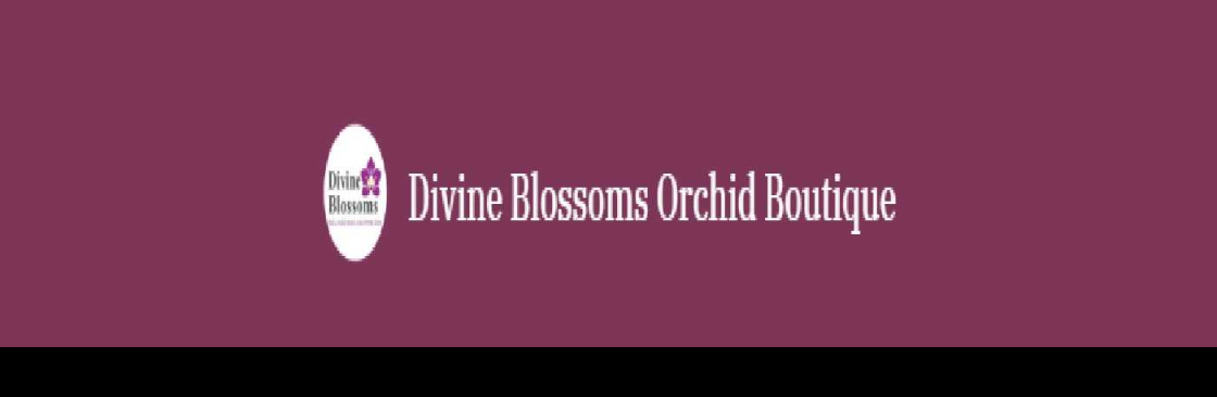 Divine Blossoms Orchid Boutique Cover Image