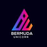 bermuda Profile Picture