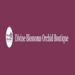 Divine Blossoms Orchid Boutique Profile Picture