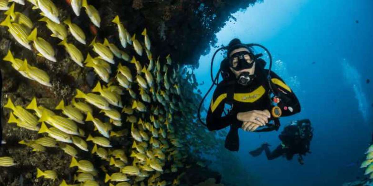 Scuba Diving in Andaman: Embark on the Ultimate Adventure