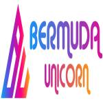 Bermuda Uniciorn Profile Picture