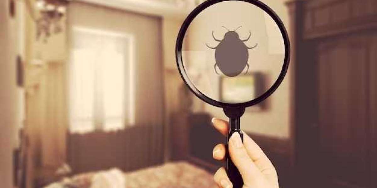 How to Deal with a very bad Bed Bug Infestation?