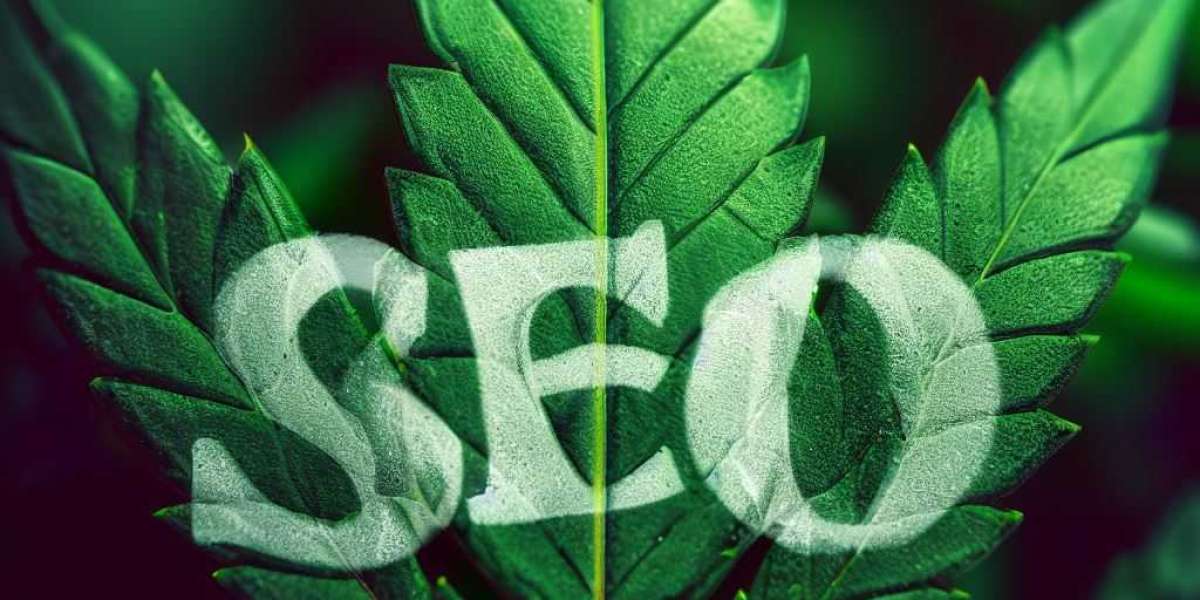 Invest in Growth: The Benefits of Cannabis SEO Services