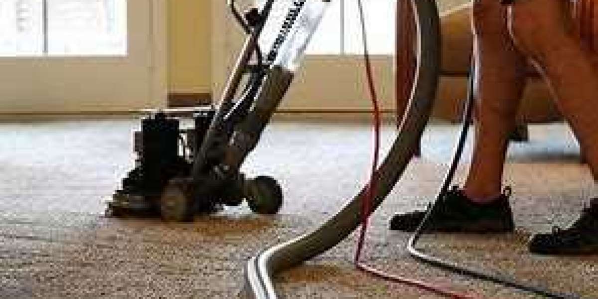 The Power of Professional Carpet Cleaning Services