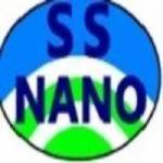 SkySprin NanoMaterials Inc Profile Picture