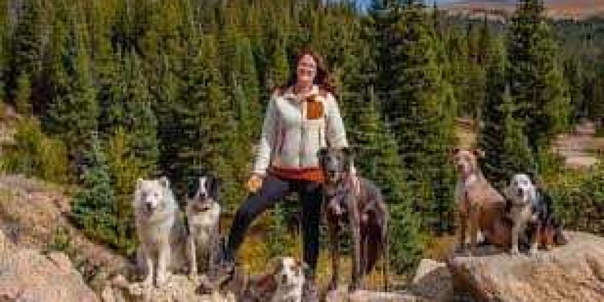 Boarding and Dog Training: A Tail-Wagging Solution for Well-Behaved Canine Companions