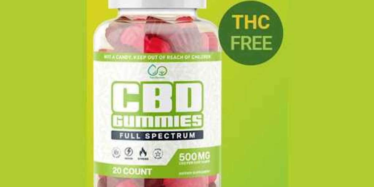 CBD Gummies for Focus and Concentration: EarthMed's Study Buddy