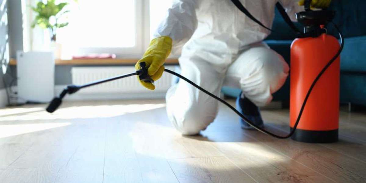 The Ultimate Guide to Atlanta Exterminators: Protecting Your Home and Health