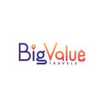 Big Value Travels Profile Picture