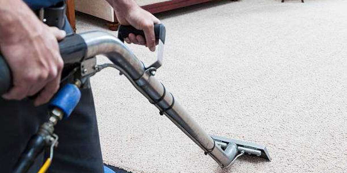 DIY Carpet Cleaning Tips for Honolulu Residents