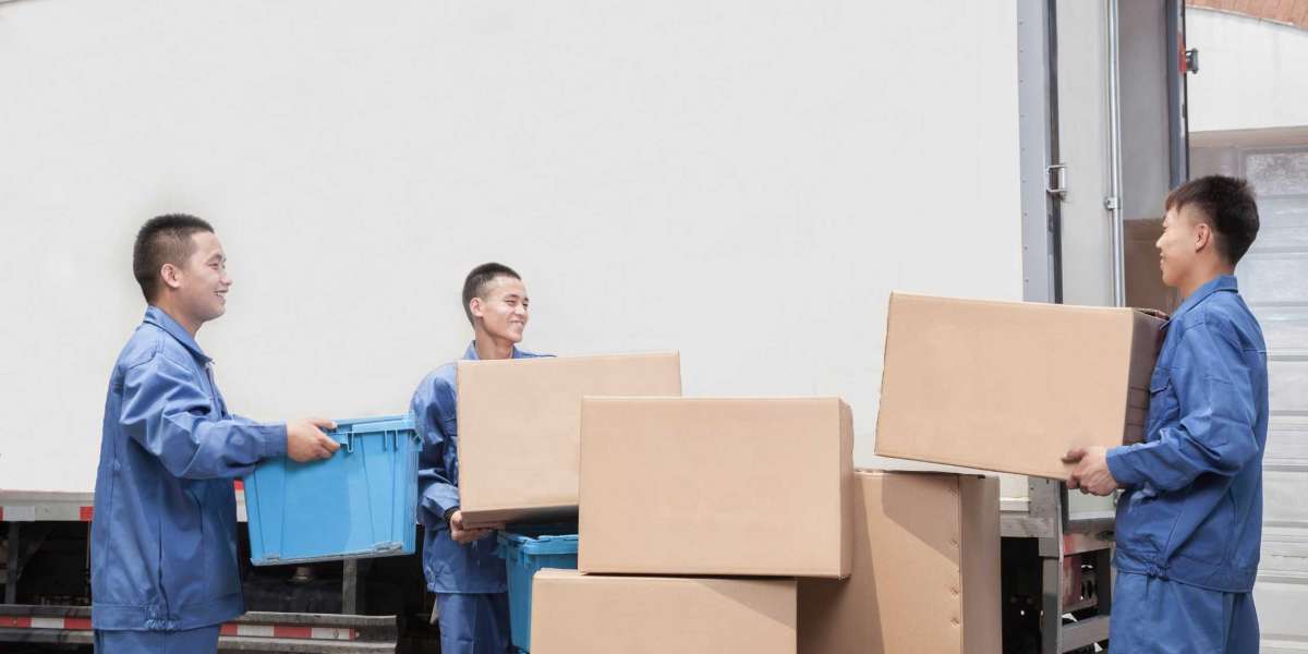 Elevate Your Moving Experience: Discover the Premier Removalist in Surry Hills
