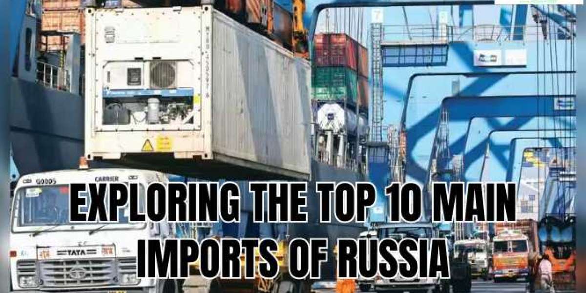 What Does Russia Import from Ukraine?