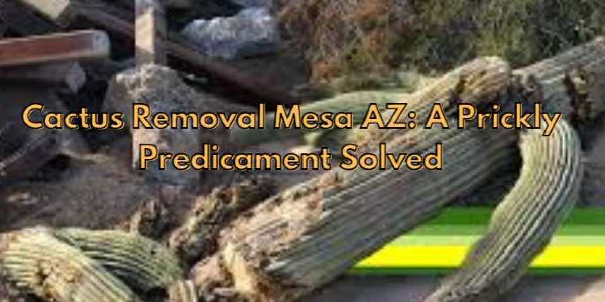Cactus Removal Mesa AZ: A Prickly Predicament Solved