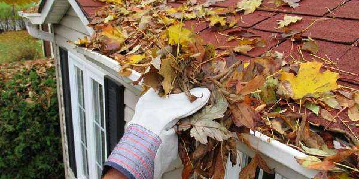 Navigating the Downpour: The Ultimate Guide to Gutter Cleaning