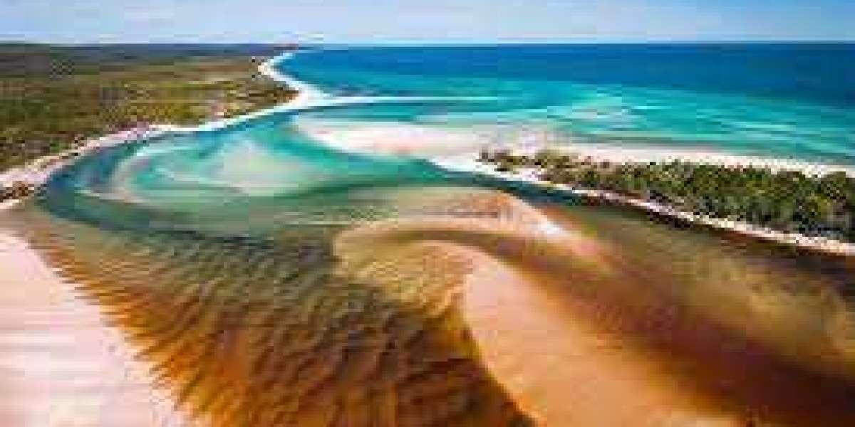 Unforgettable Fraser Island Tours from Noosa: Your Ultimate Guide