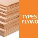 plywoodi plywoodi Profile Picture