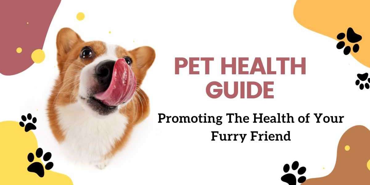 The Ultimate Guide to Keep Your Furry Friend Healthy
