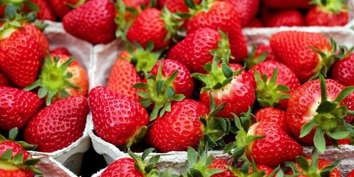 Strawberries For Good Well being: Well being Advantages