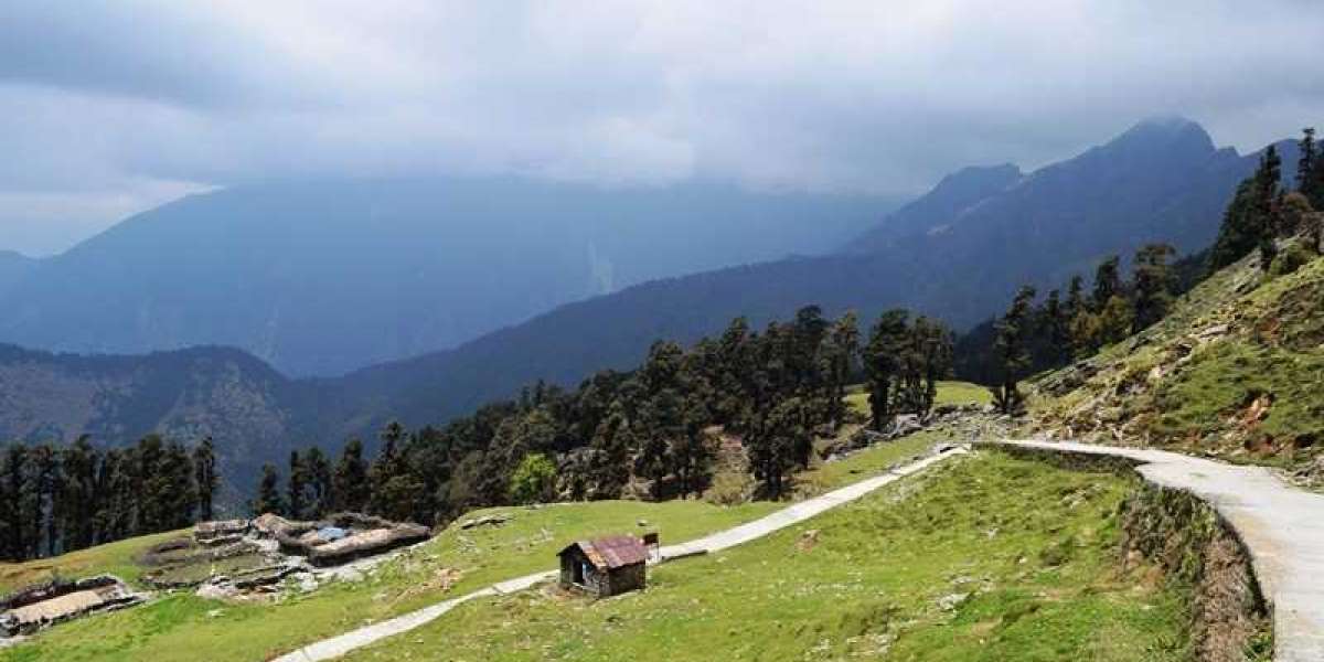 Journey to the Rooftop of the World: Chopta Trek Expedition