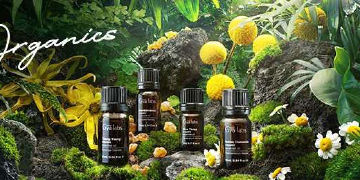 Non-Toxic Essential Oils: Embracing the Purity of Gyalabs Organic Essential Oils