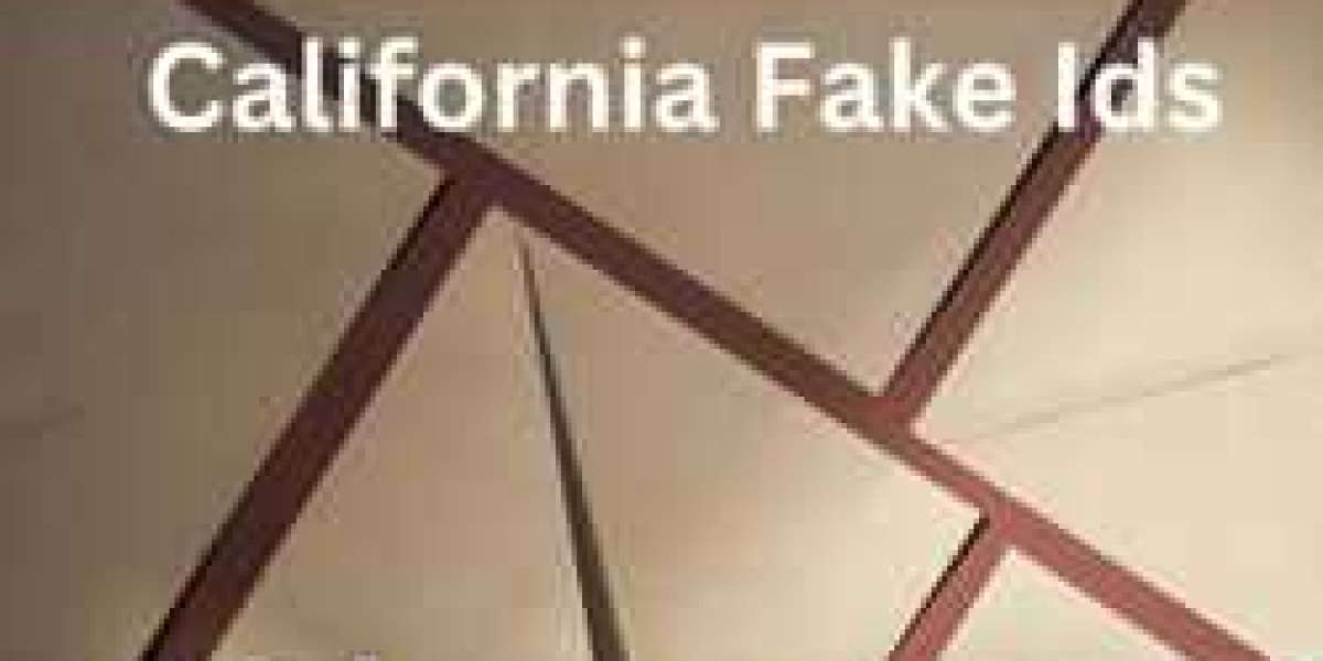 Navigating the Murky Waters: California's Battle Against Fake IDs