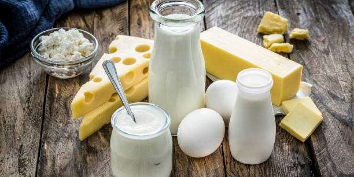 Dairy By-Products Market Size, Restraints, Portfolio, and Forecast 2030