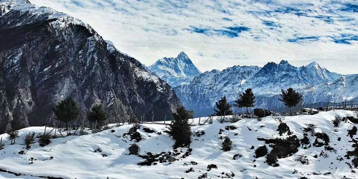 Exploring the Mesmerizing Journey from Delhi to Auli