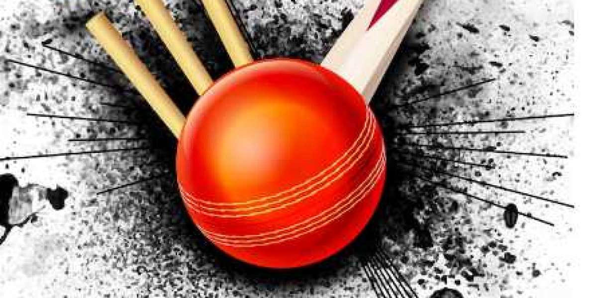 2024 Cricket Mastery: Navigating Strategies and Toss Triumphs
