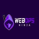 WebOps Ninja Profile Picture