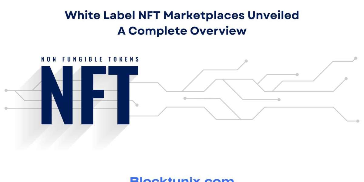 White Label NFT Marketplaces Unveiled: A Complete Overview