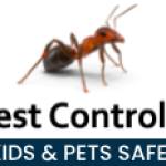 Ant Pest Control Perth Profile Picture