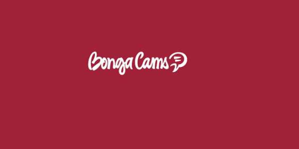 Internet Detour: My Unexpected Adventure with Bongacams