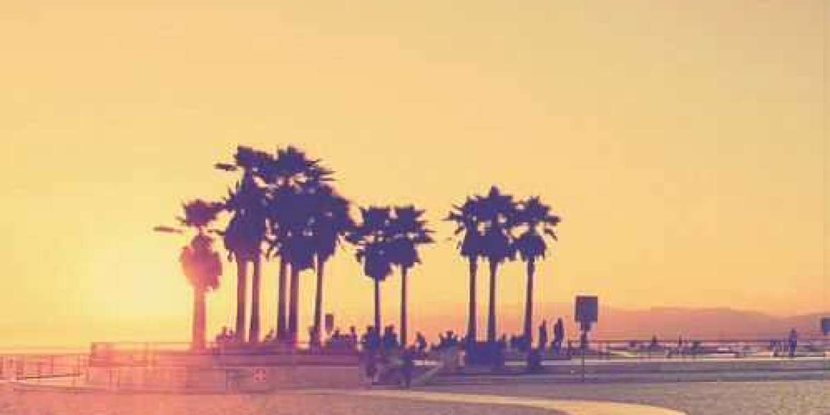 Venice Beaches