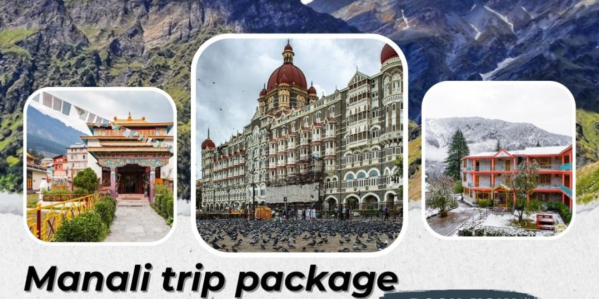 Experience the Wizardry of Manali: Your Optimal Manali trip package from mumbai