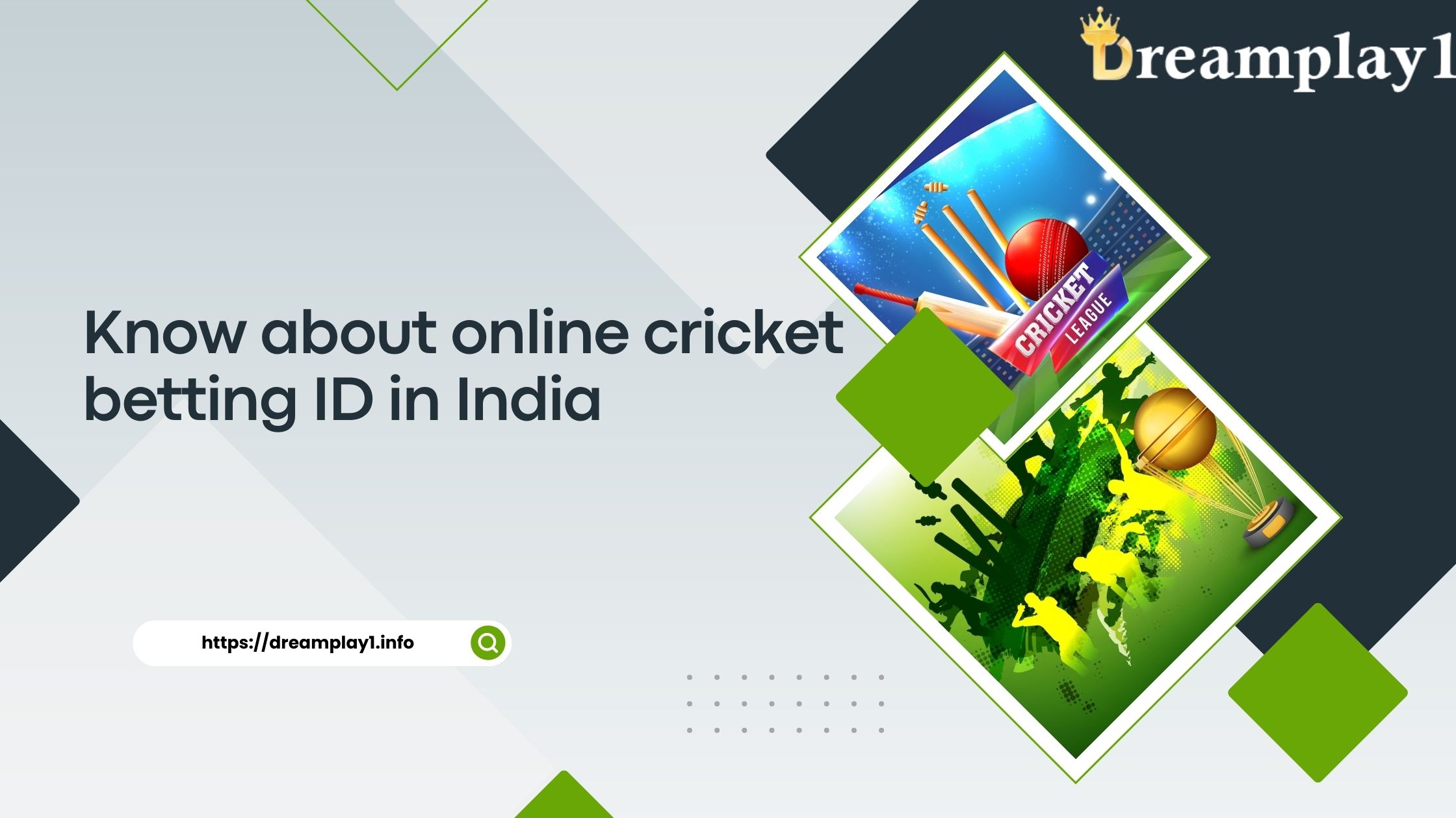 Know about online cricket betting ID in India - dreamplay1