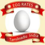 egg rate Profile Picture