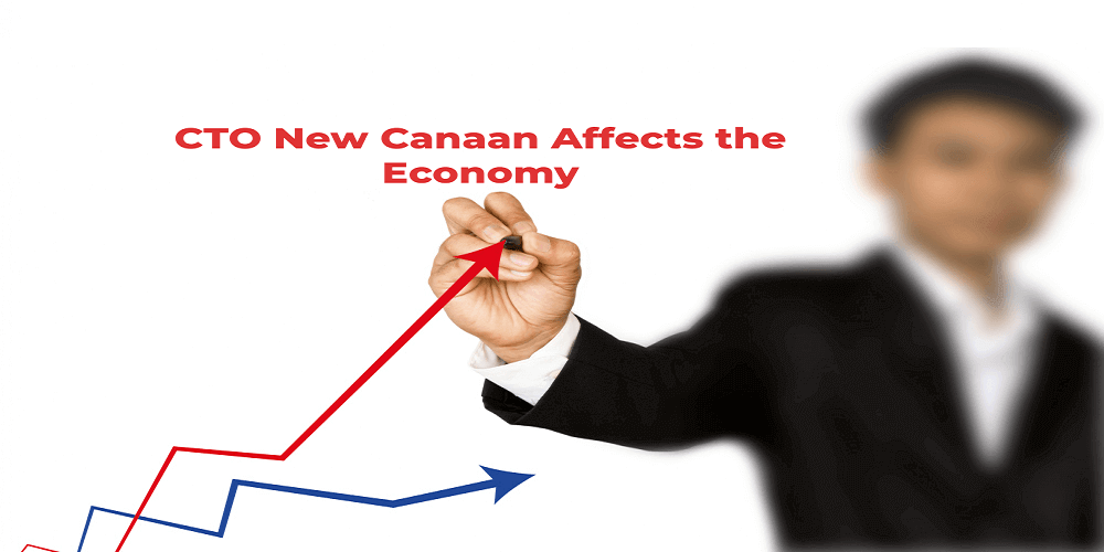 CTO New Canaan Affects the Economy: Altering Business Terrains - Articledome