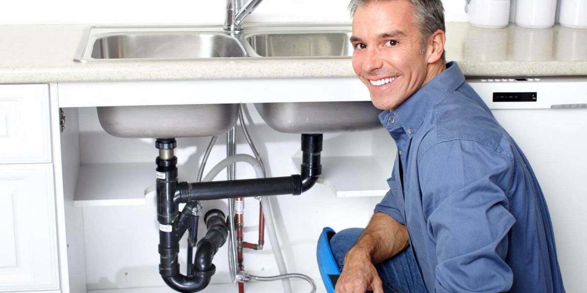 DIY vs. Hiring a Professional Plumber: Which Is Better?