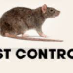 Rat Pest Control Perth Profile Picture