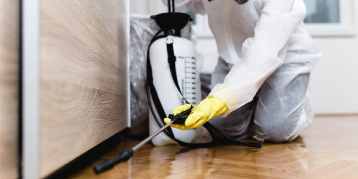 Effective and Affordable Pest Control Solutions in Scottsdale