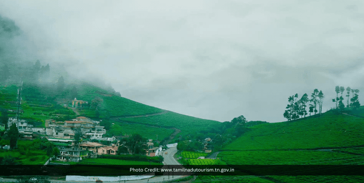Ooty Tourist Guide: Best Time, Places, Things to Do!
