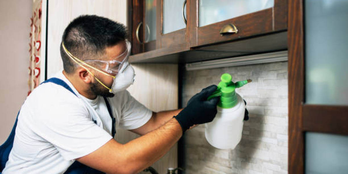 Factors to Consider When Choosing a Pest Control Company