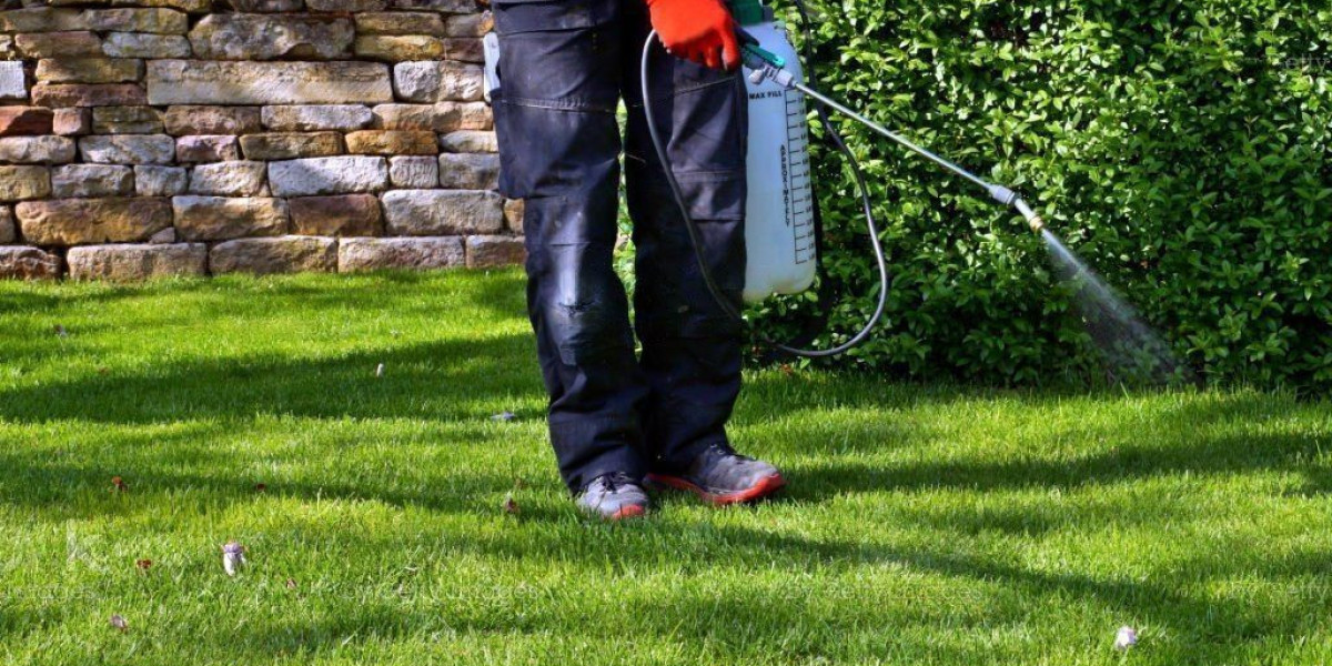 The Importance of Hiring a Professional Pest Control Company