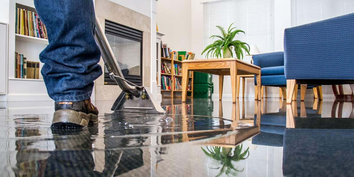 How to Choose the Best Professional Service for Wet Carpet Drying in Sydney